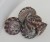 Trochus histrio