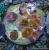 Ricordea Yuma Orange Mushroom