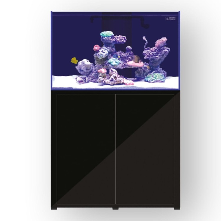 laquarium_370.jpg