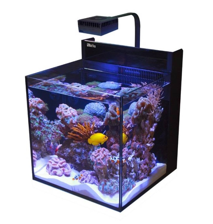 big_MAX-NANO-no-cabinet.jpg