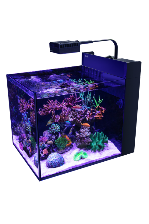 big_rs-max-pen-tank-1.png