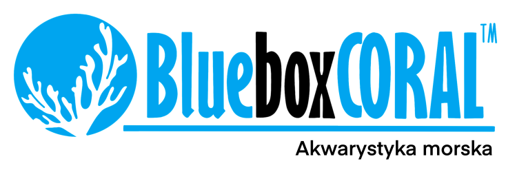 BLUEBOXCORAL - strona główna