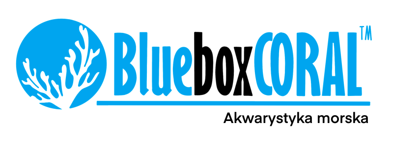 BLUEBOXCORAL - strona główna