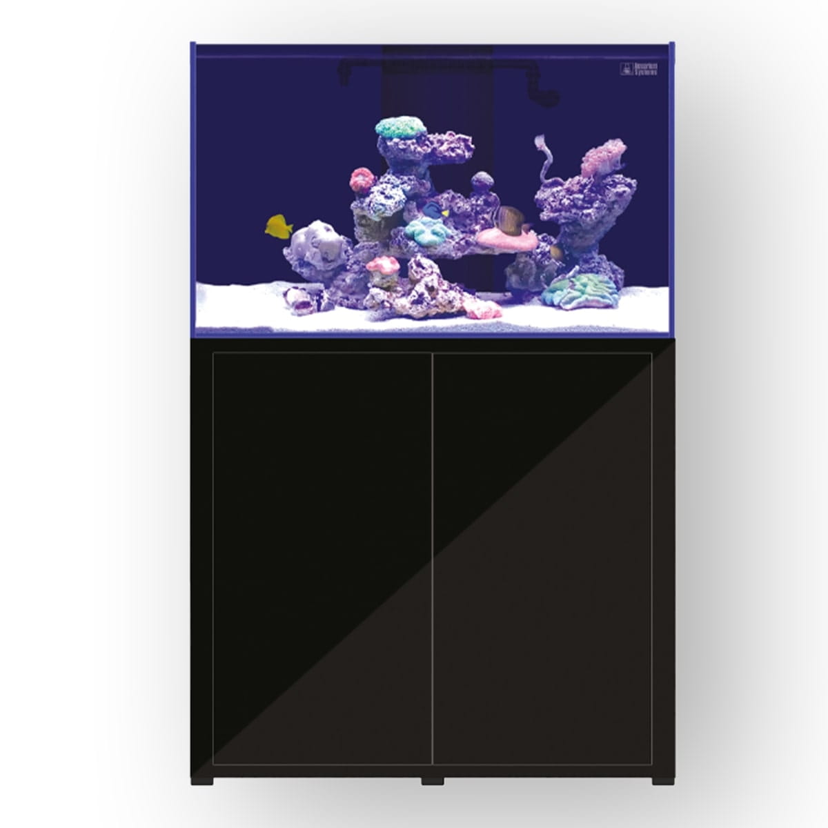 laquarium_370.jpg
