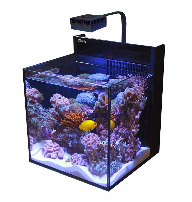 big_MAX-NANO-no-cabinet.jpg