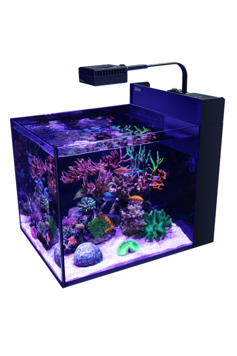 big_rs-max-pen-tank-1.png